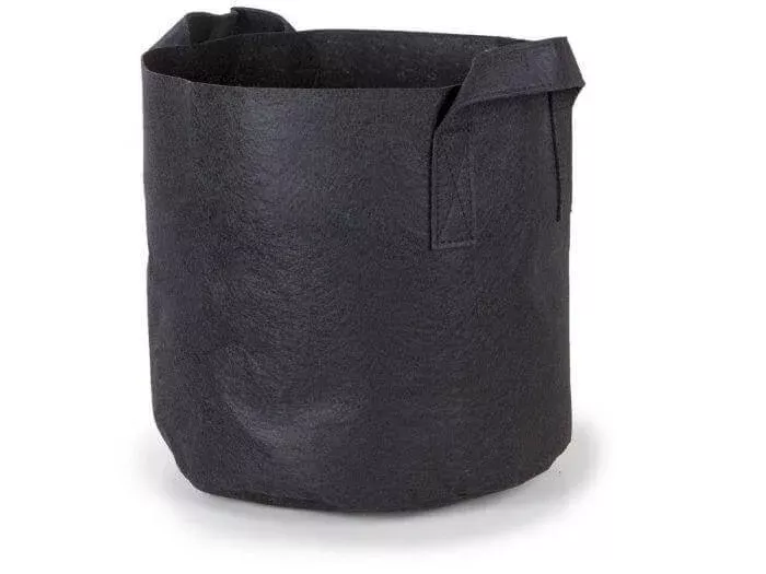 1-gallon-fabric-pot-w-handles-5-pack-black-6h-x-7d 1-Gallon Fabric Pot w/Handles (5-Pack) Black 6H x 7D