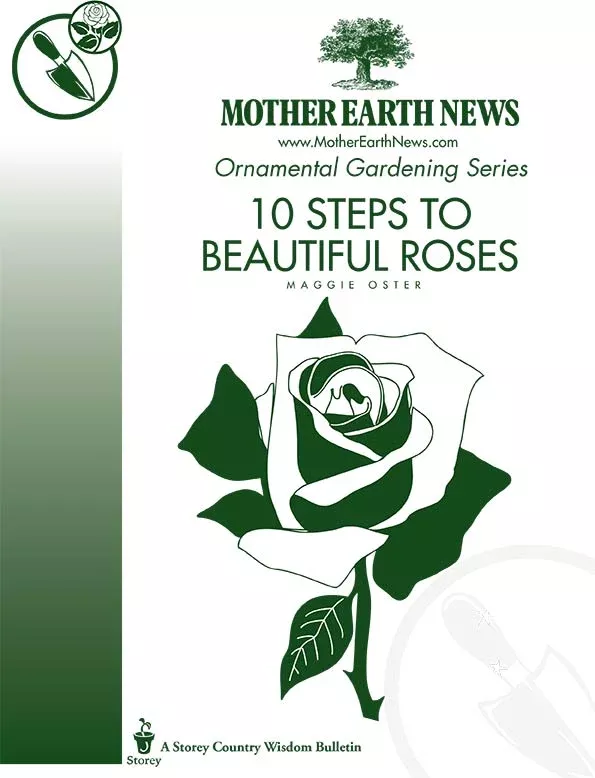 10 Steps To Beautiful Roses, E-Handbook