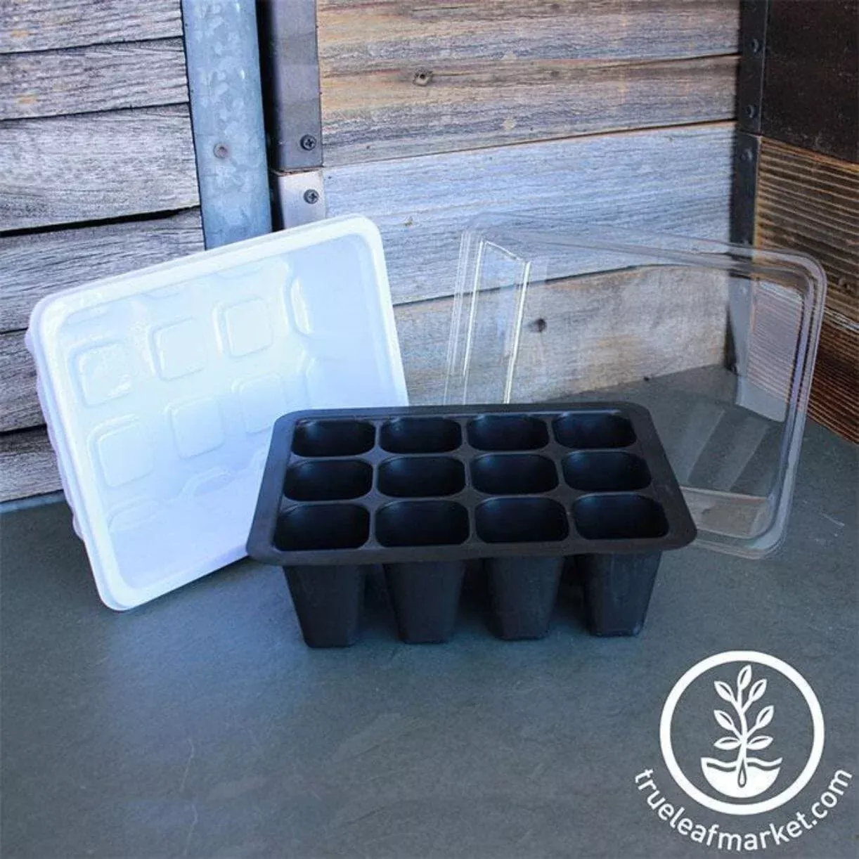 12 Cell Seed Starting Set - Tray, Insert, Dome - Seedling Starter Kit