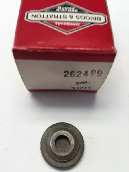 262499 Briggs & Stratton VALVE CAP