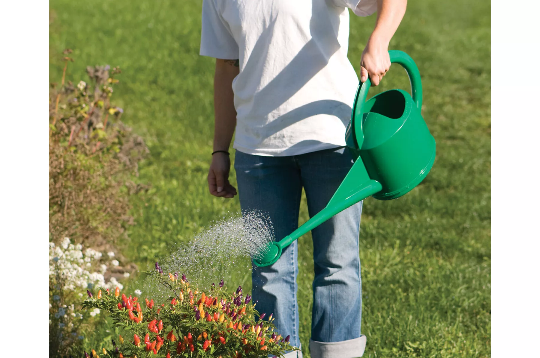 5-liter-watering-can 5-Liter Watering Can