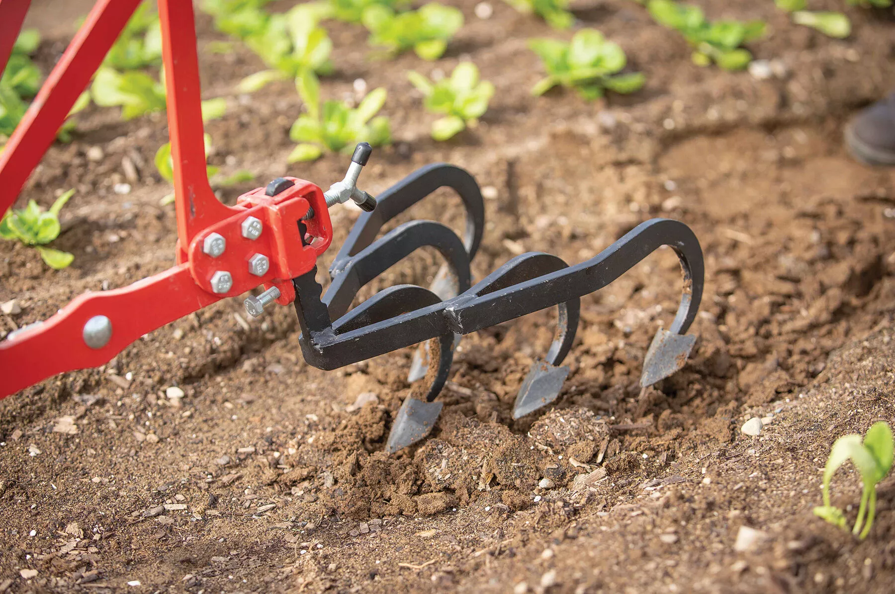 5-tine-cultivator-terrateck-wheel-hoe-accessory 5-Tine Cultivator Terrateck Wheel Hoe Accessory