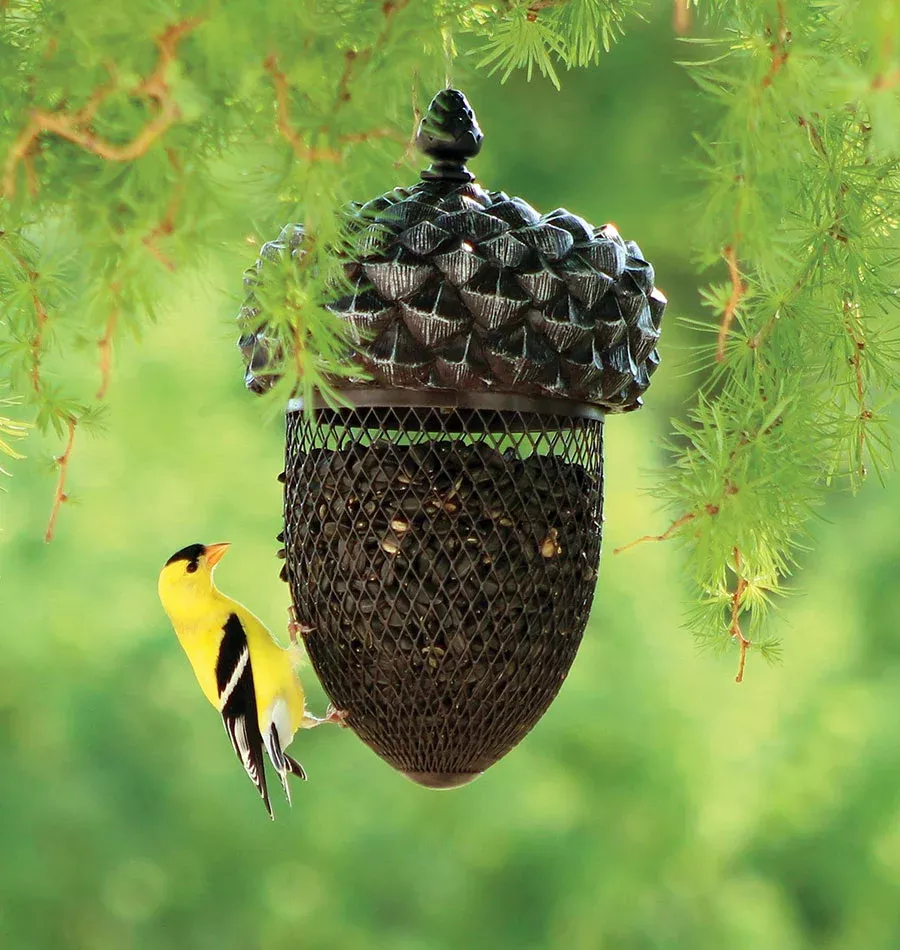 Acorn Shape Feeder