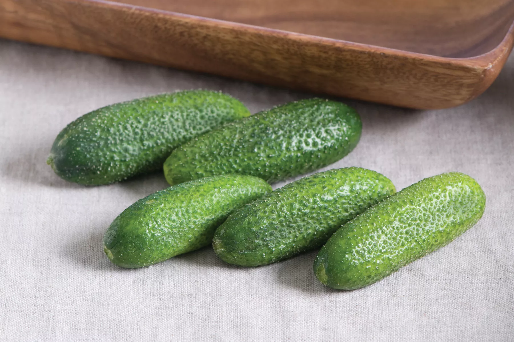 adam-gherkin-organic-f1-cucumber-seed Adam Gherkin Organic (F1) Cucumber Seed