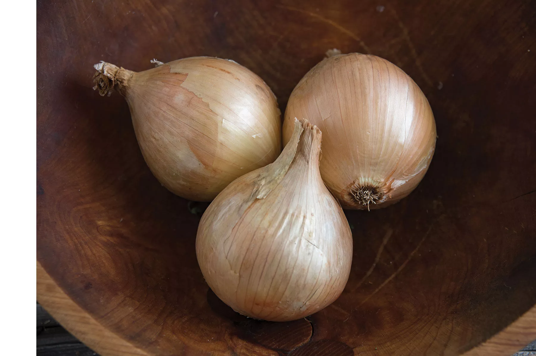 ailsa-craig-organic-onion-seed Ailsa Craig Organic Onion Seed