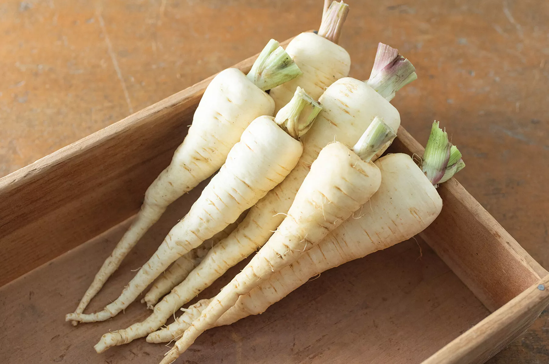 albion-pelleted-f1-parsnip-seed Albion Pelleted (F1) Parsnip Seed
