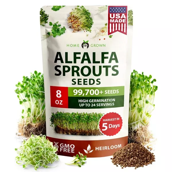 Alfalfa Sprouting Seeds - 8 oz - Non-GMO USA Grown