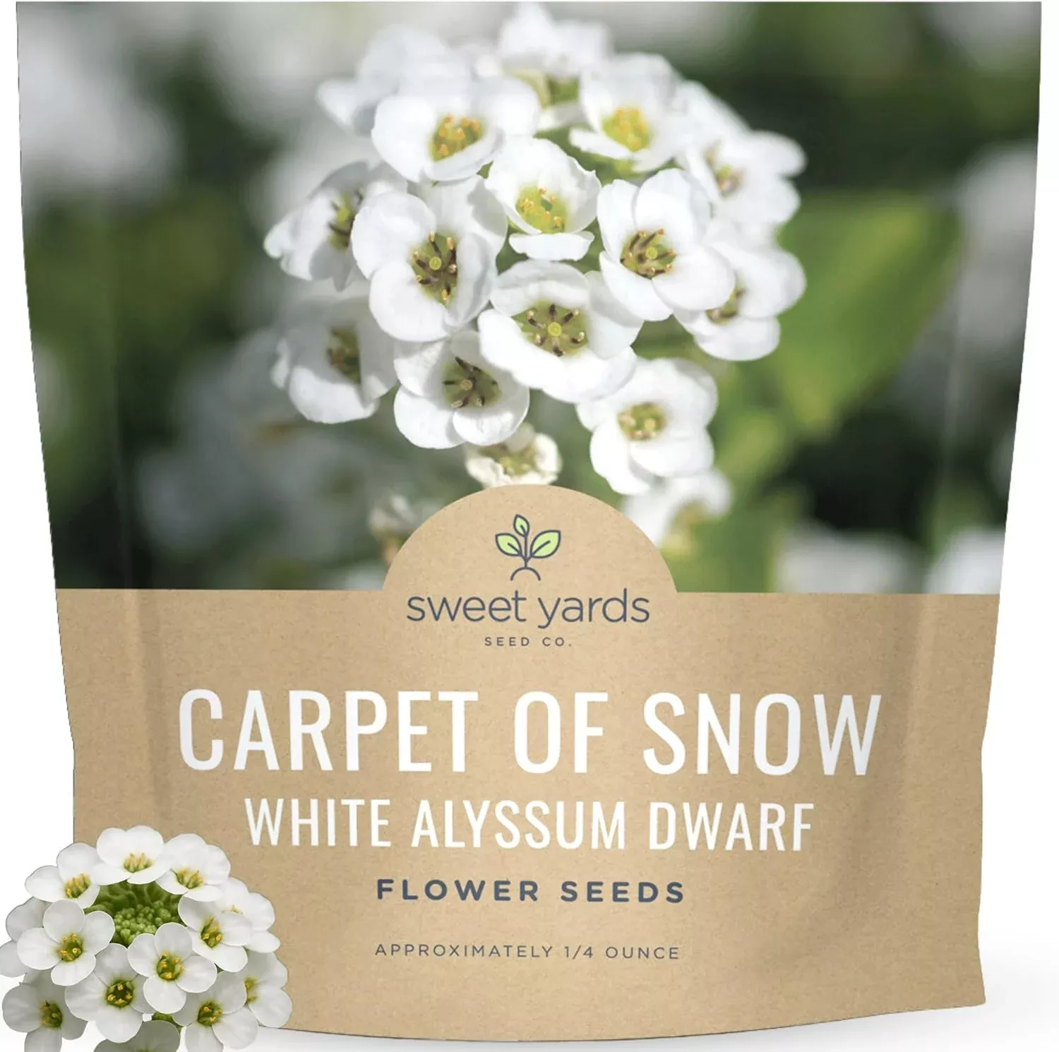 Alyssum Dwarf White – Carpet of Snow