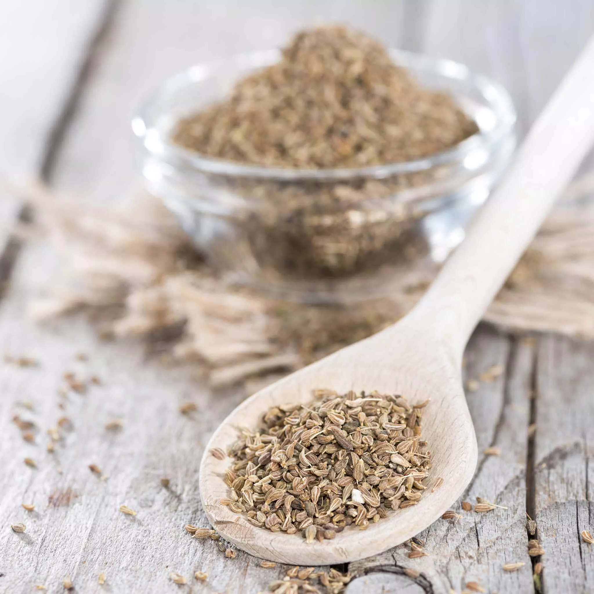 anise-seeds Anise Seeds
