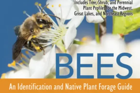 bees-identification-native-plant-forage-guide-ships-free ~ Bees: An Identification and Native Plant Forage Guide SHIPS FREE