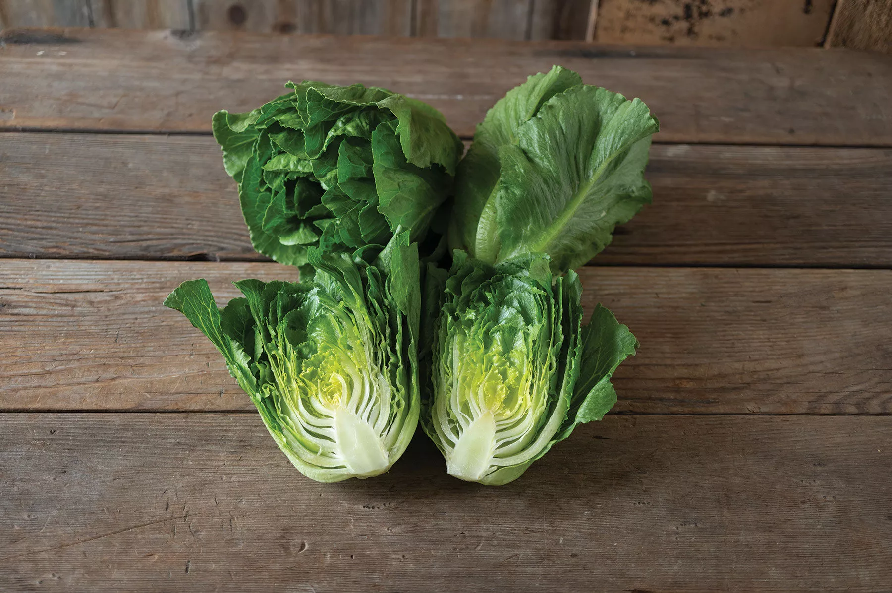 bigelow-organic-lettuce-seed Bigelow Organic Lettuce Seed