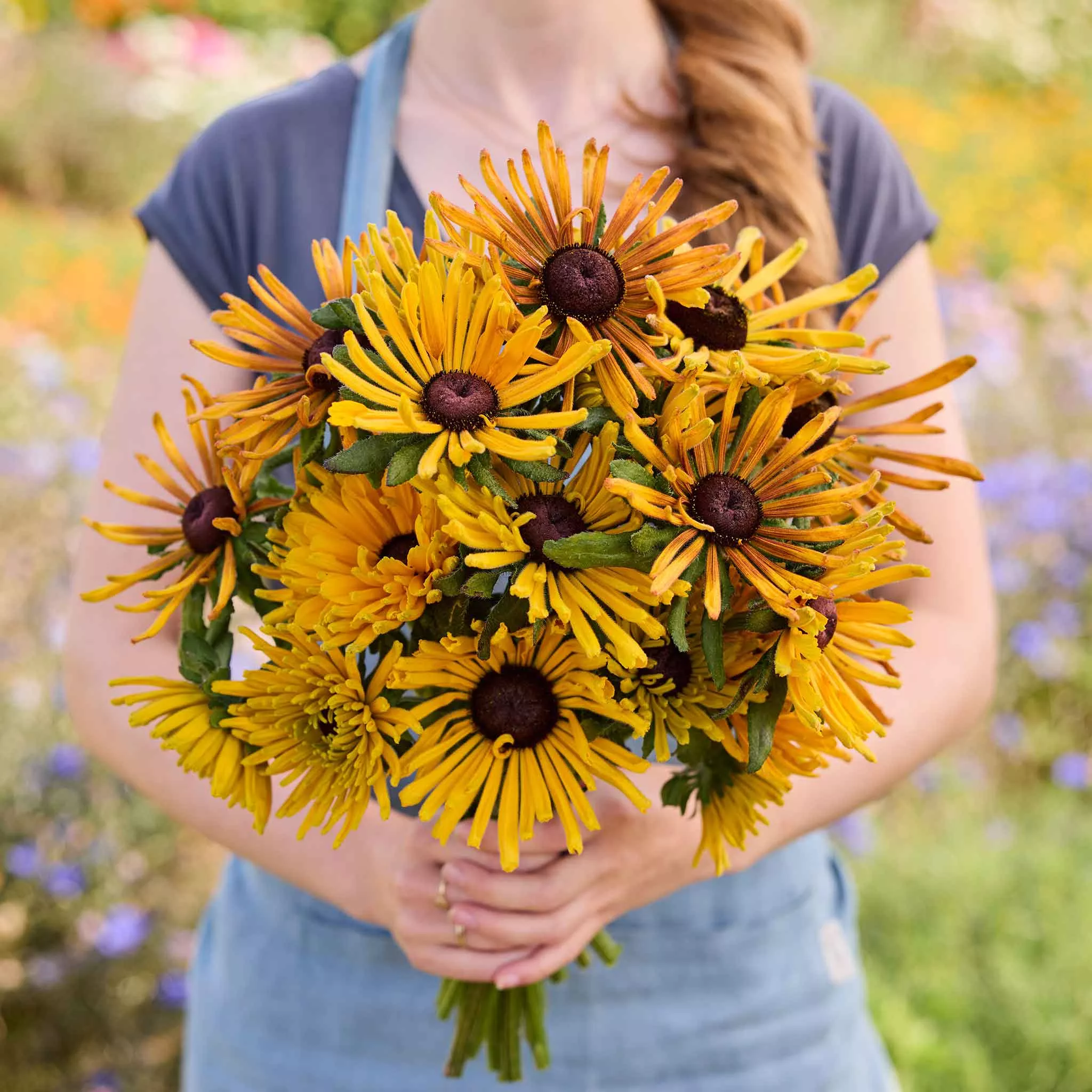 black-eyed-susan-seeds-chim-chiminee Black Eyed Susan Seeds - Chim Chiminee
