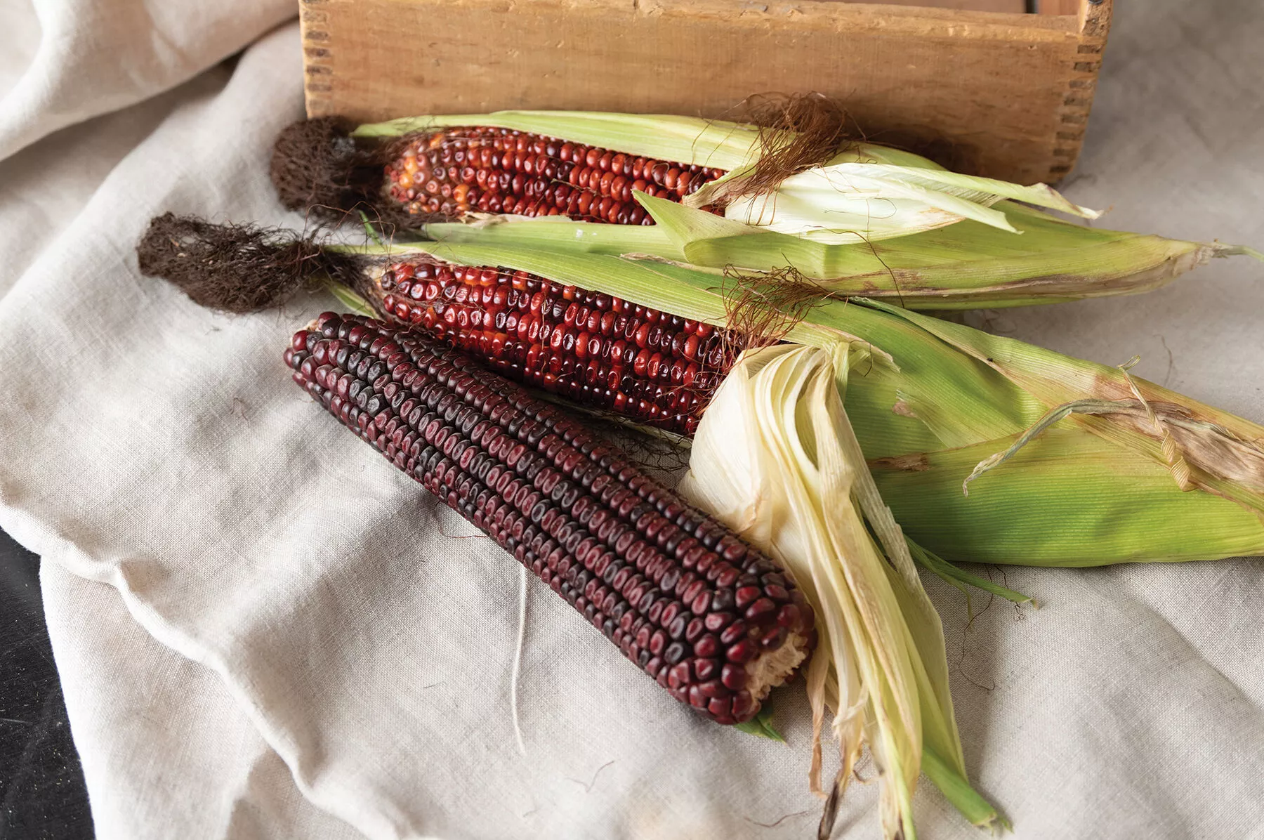 Bloody Butcher Corn Seed