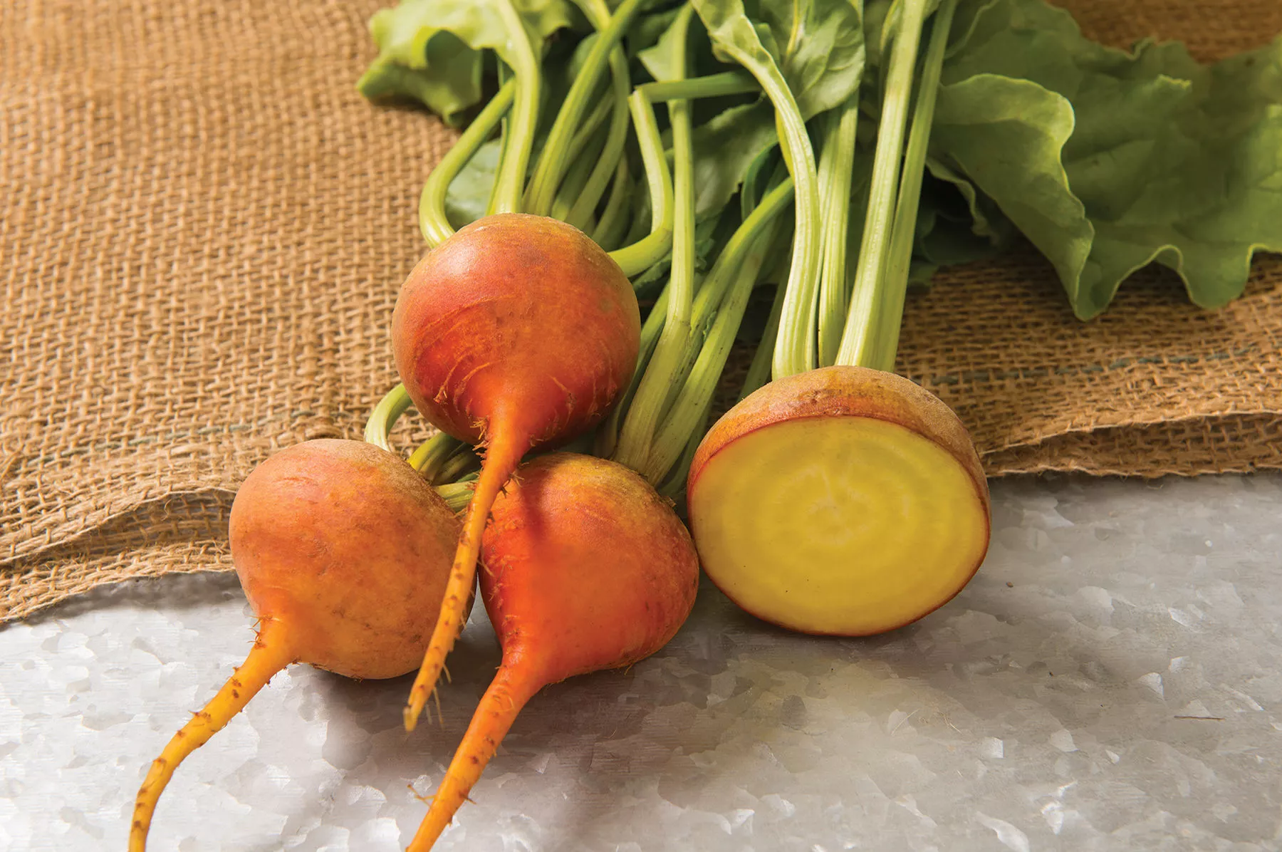 boldor-pelleted-beet-seed Boldor Pelleted Beet Seed