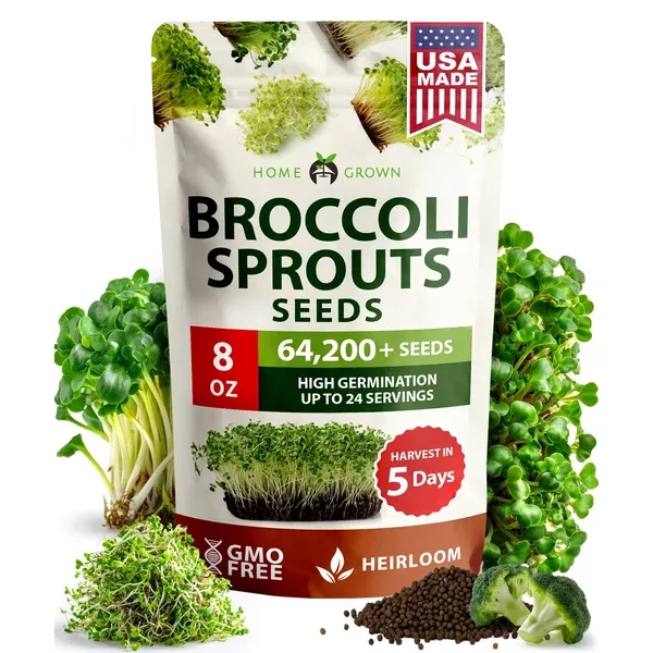 broccoli-sprouting-seeds-8-oz-non-gmo-usa-grown Broccoli Sprouting Seeds - 8 oz - Non-GMO USA Grown