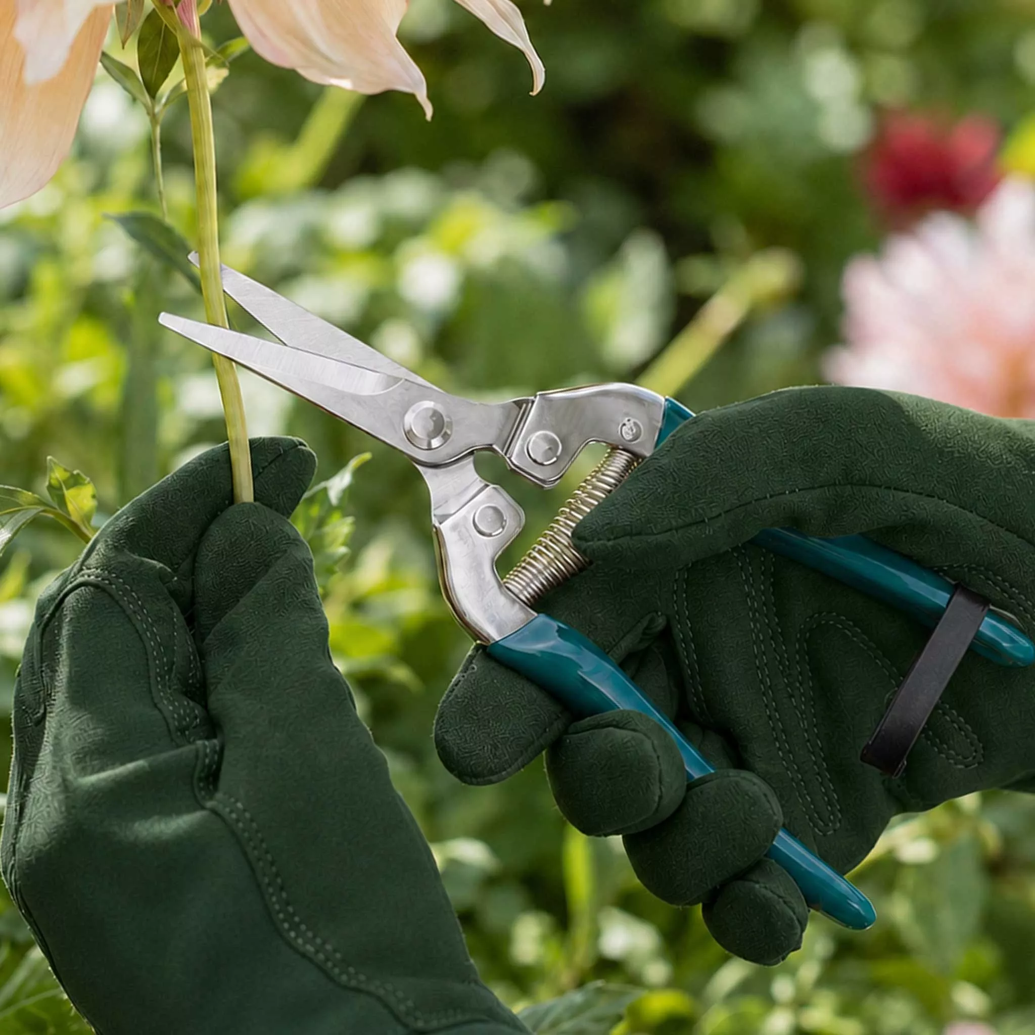 Burgon & Ball Flower & Fruit Snips