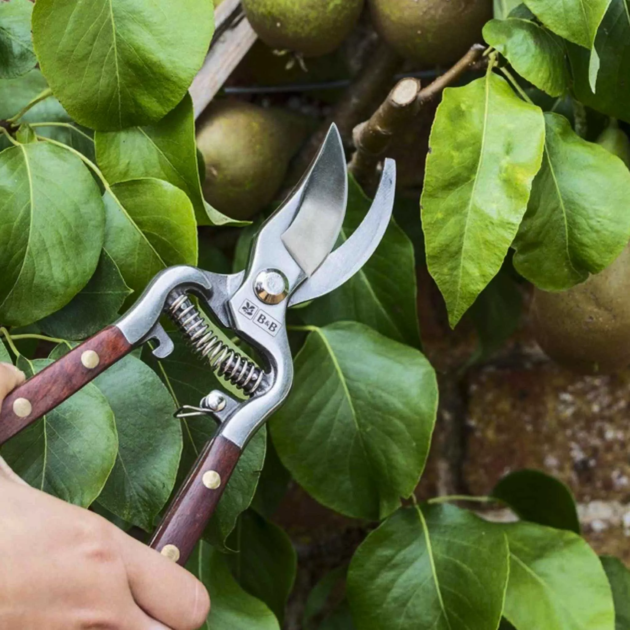 Burgon & Ball Wood handle Bypass Pruner