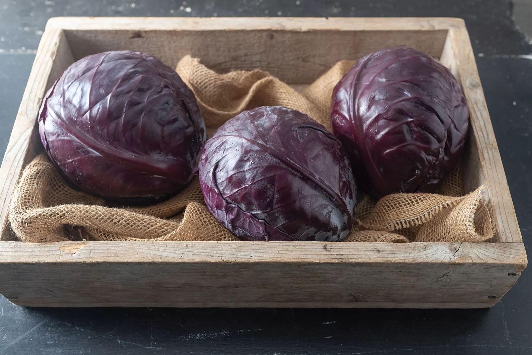 Buscaro Organic (F1) Cabbage Seed
