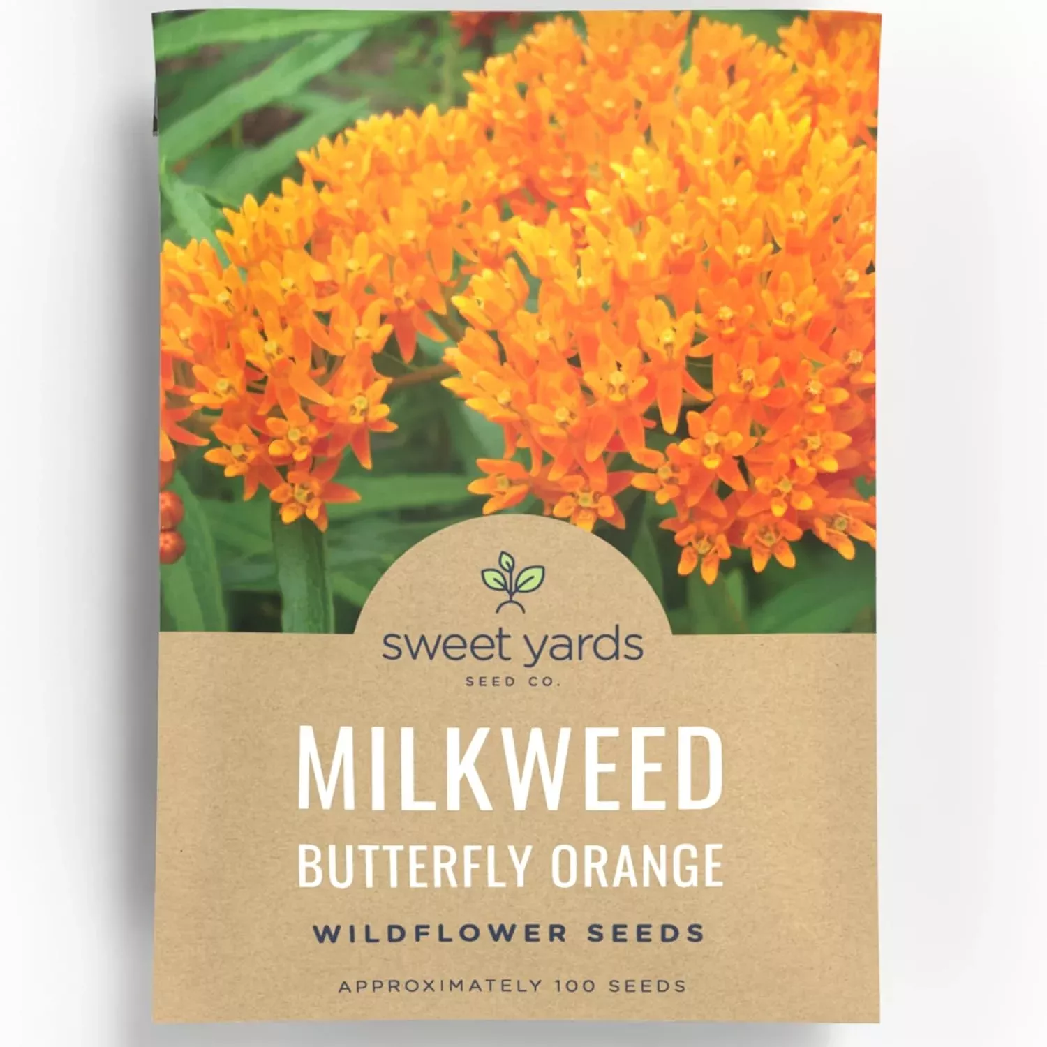 butterfly-orange-milkweed Butterfly Orange Milkweed