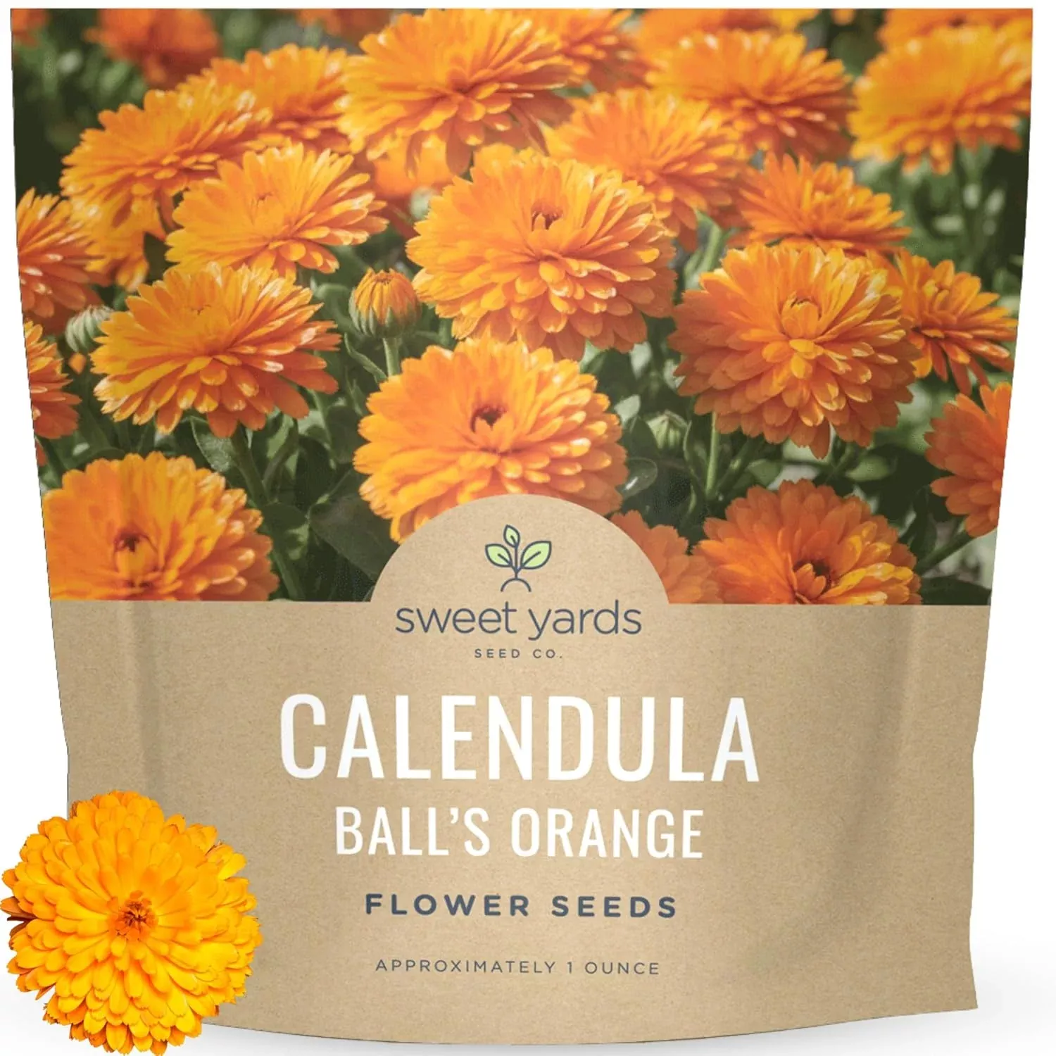 calendula-balls-orange Calendula Balls Orange