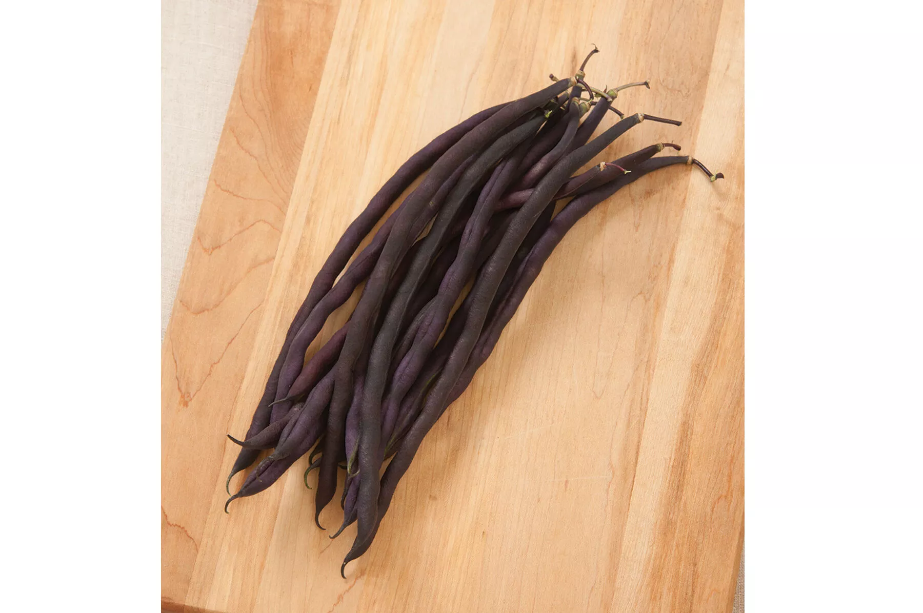 Carminat Bean Seed