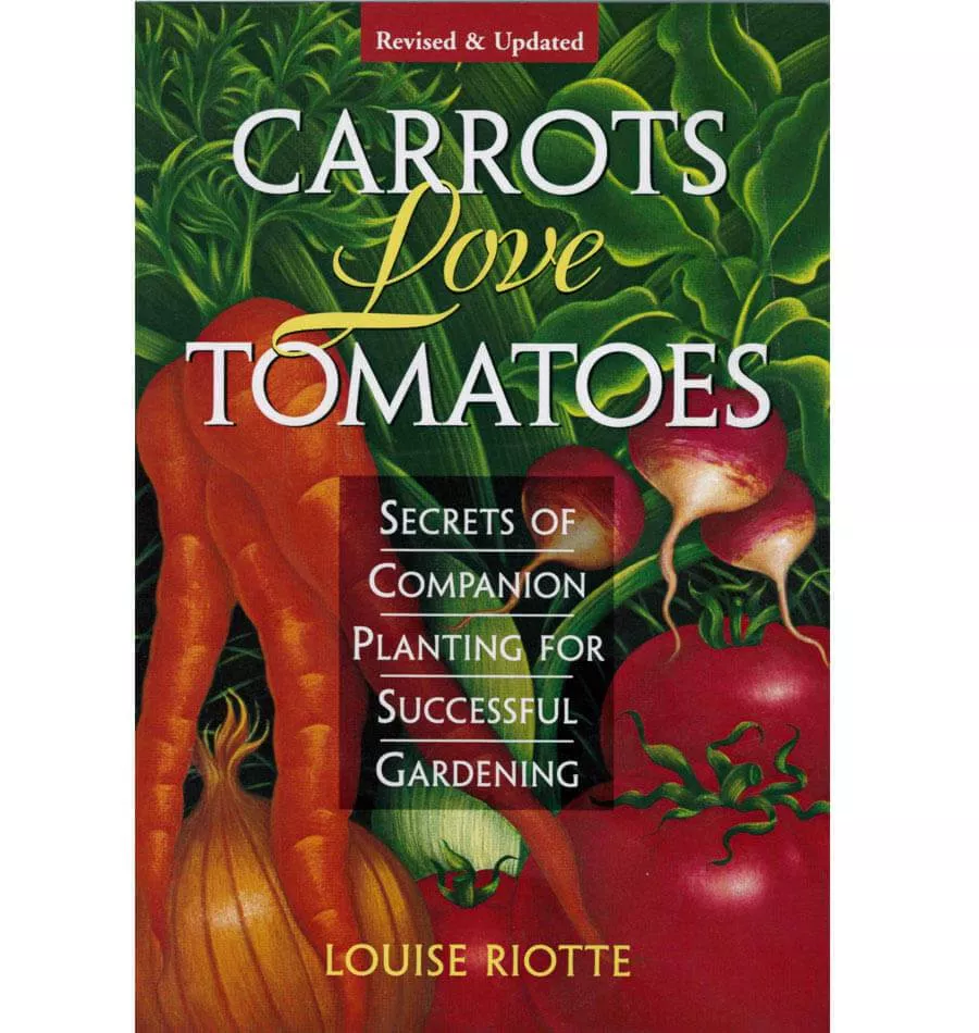Carrots Love Tomatoes