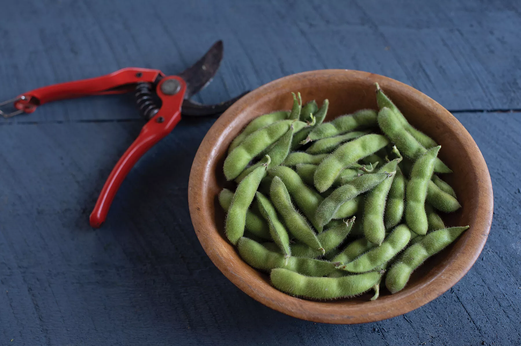 Chiba Green Organic Soybean Seed