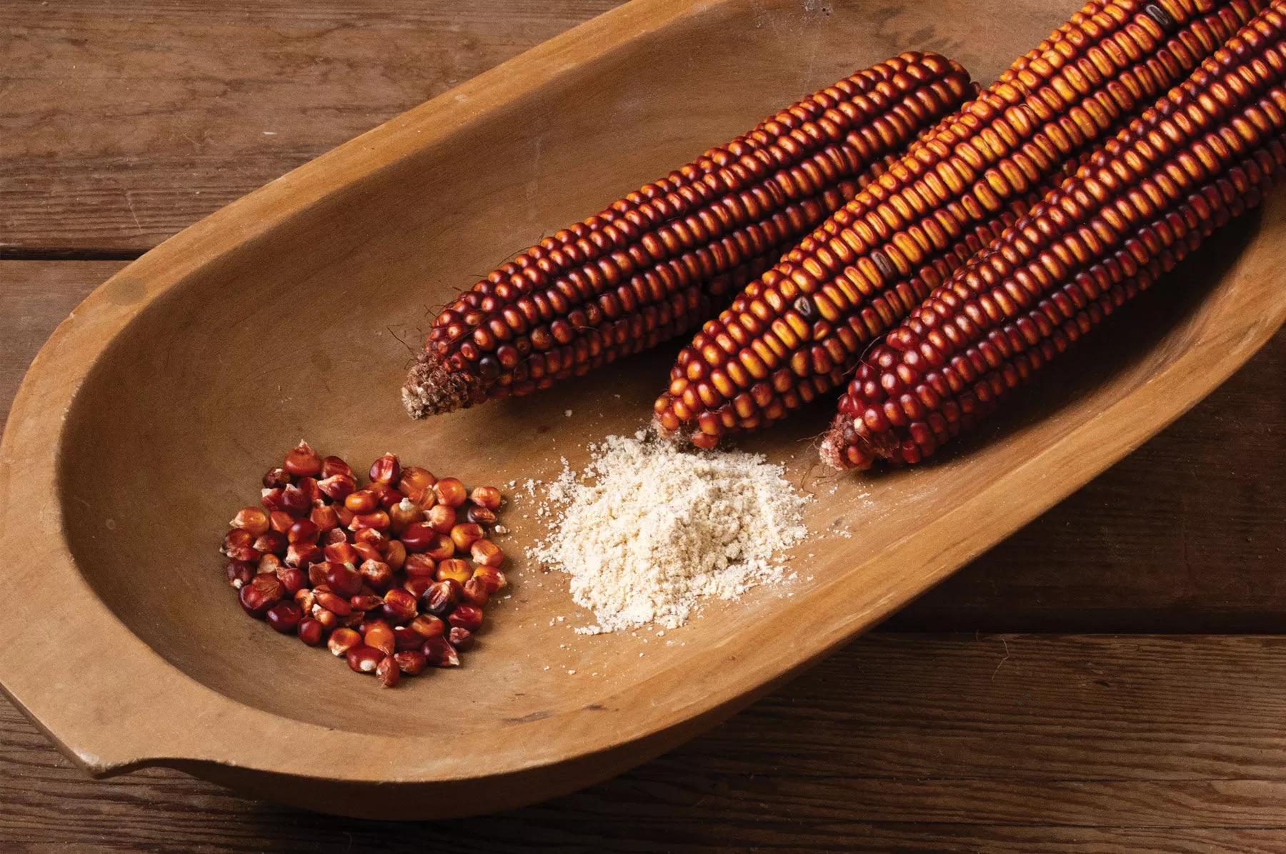 Choices (F1) Corn Seed