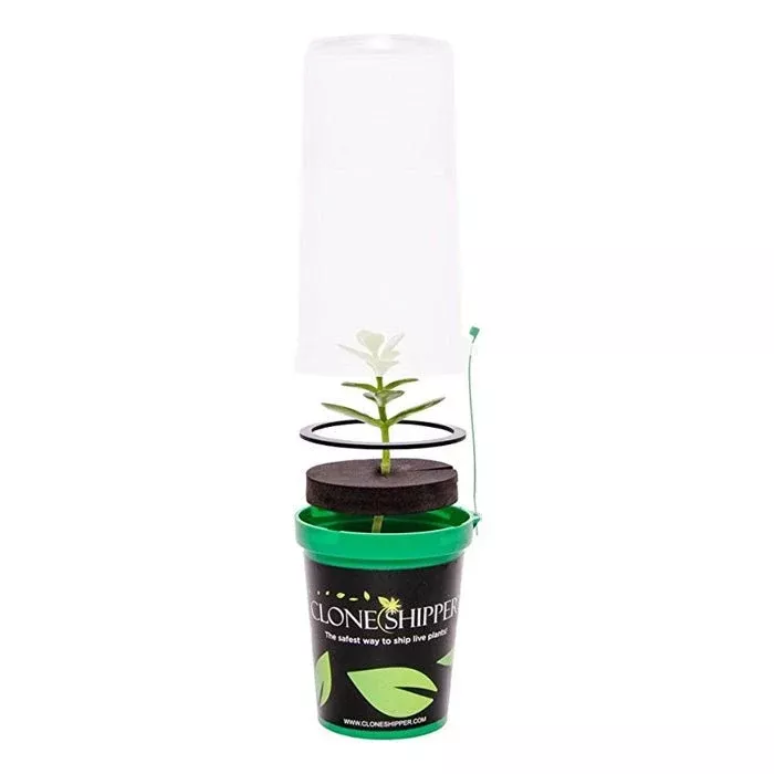Clone Shipper - BetterGrow Hydro