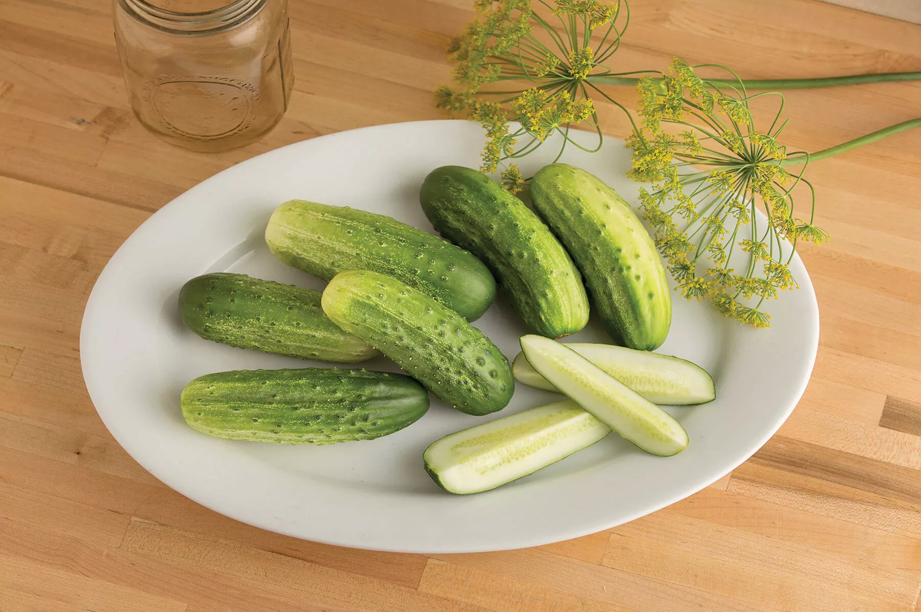 Cool Customer Organic Cucumber Seed