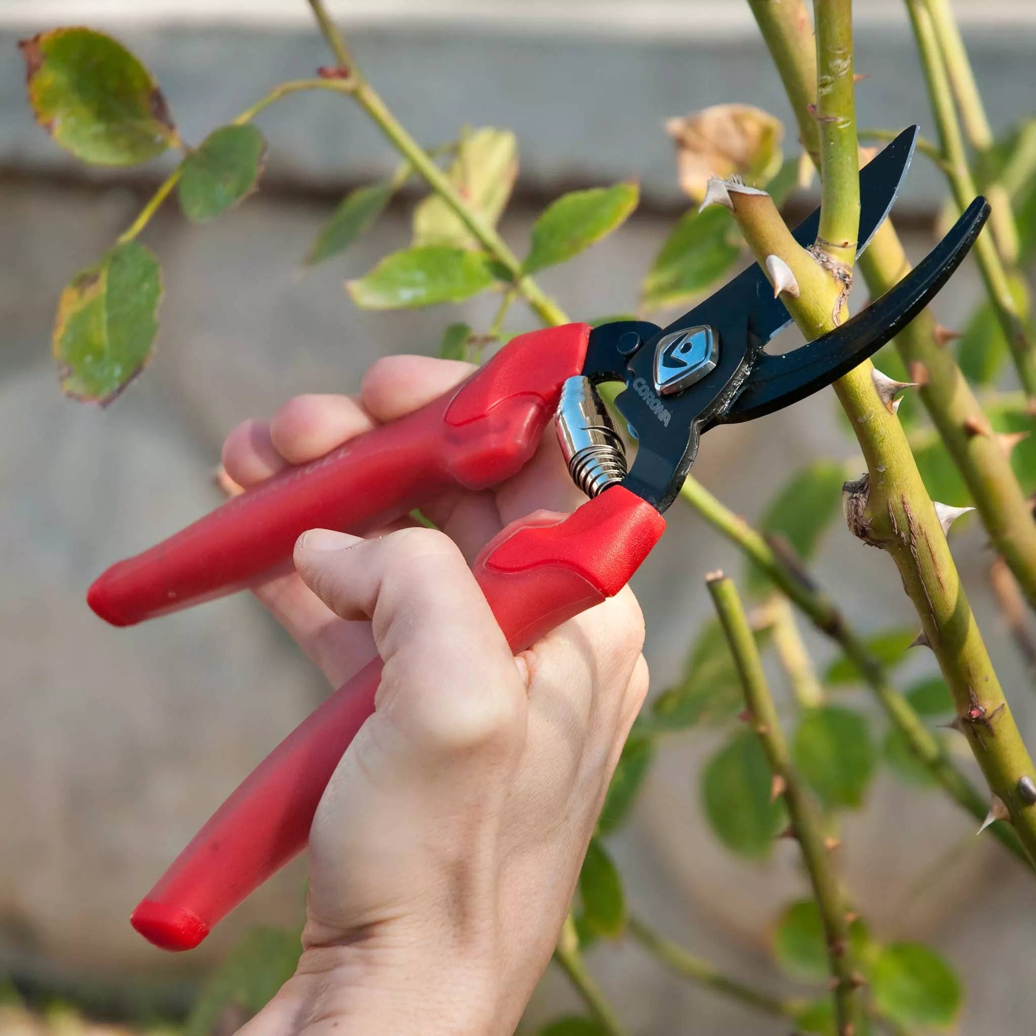 Corona ComfortGEL Bypass Pruner