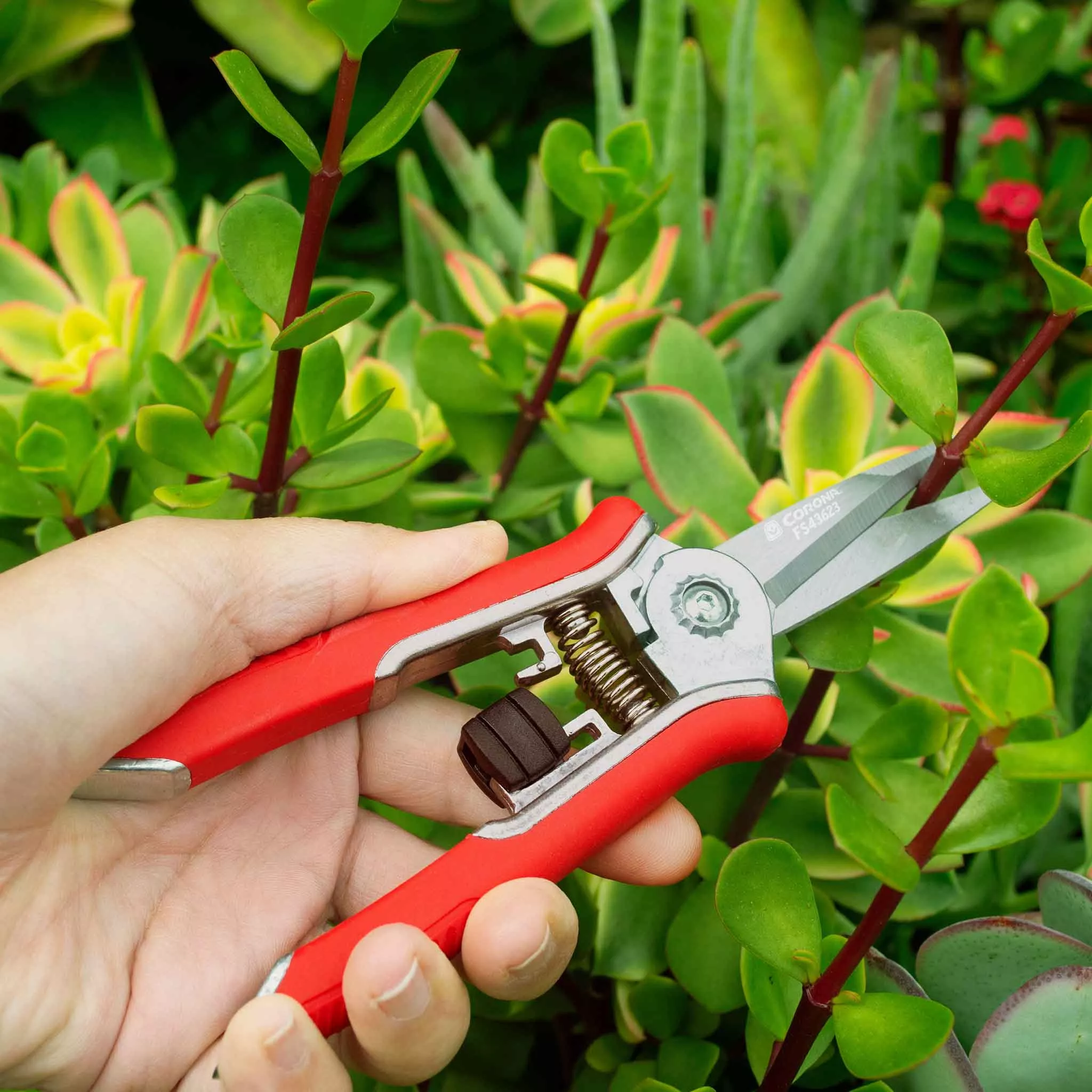Corona Mini Floral Snips