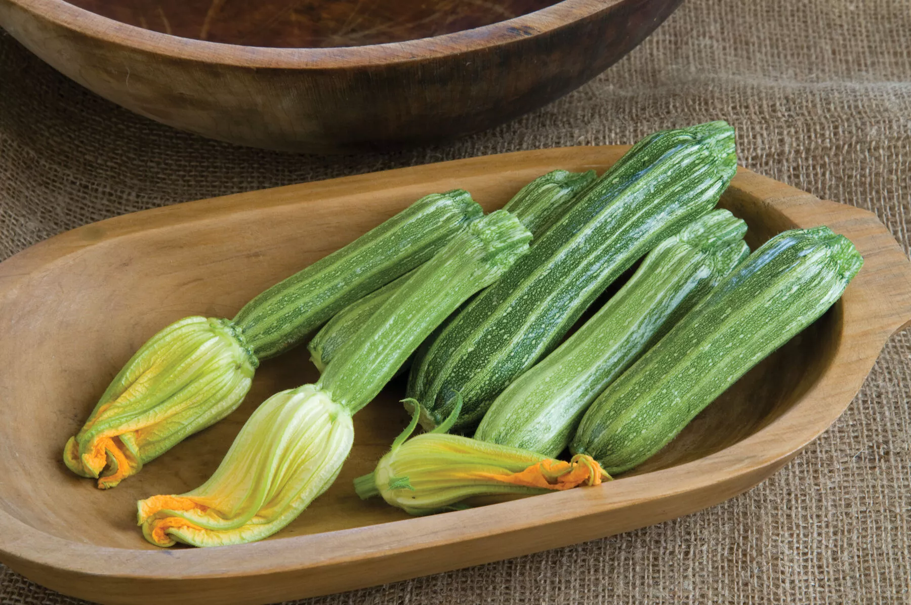 costata-romanesco-zucchini-squash-seed Costata Romanesco Zucchini Squash Seed