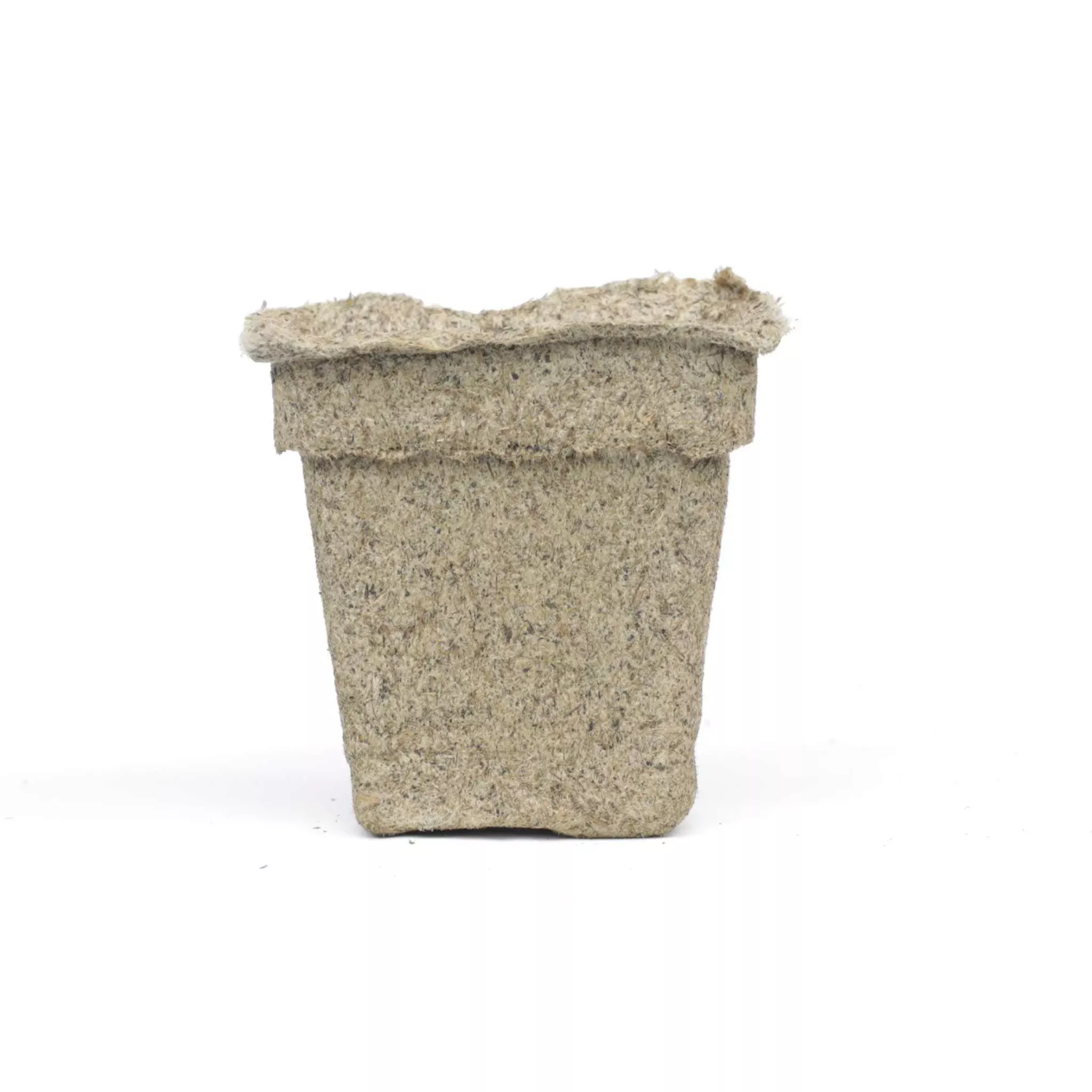 CowPots #3 Square