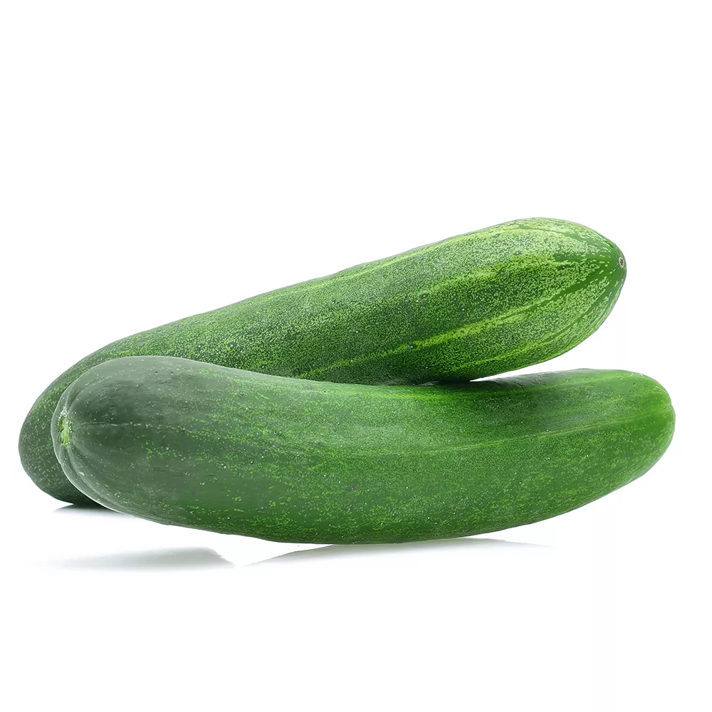 cucumber-honey-plus Cucumber – Honey Plus