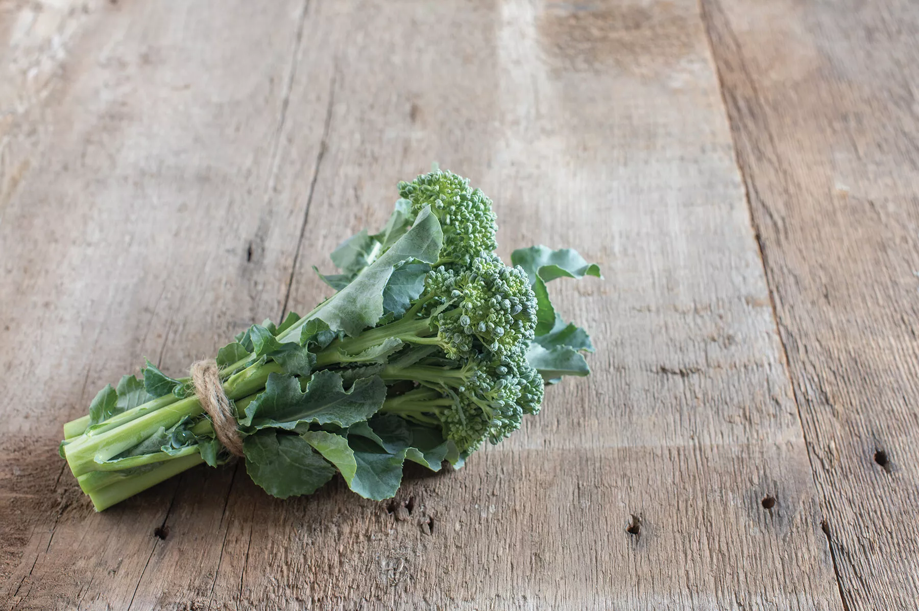 de-cicco-organic-broccoli-seed De Cicco Organic Broccoli Seed