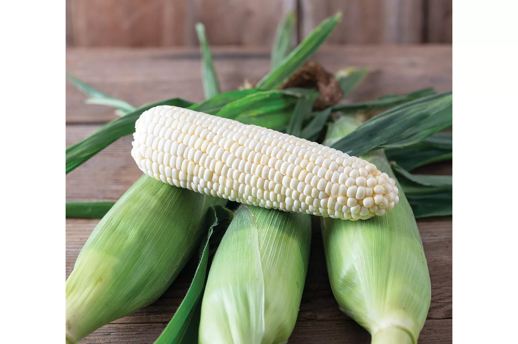 Eden RMN (F1) Corn Seed