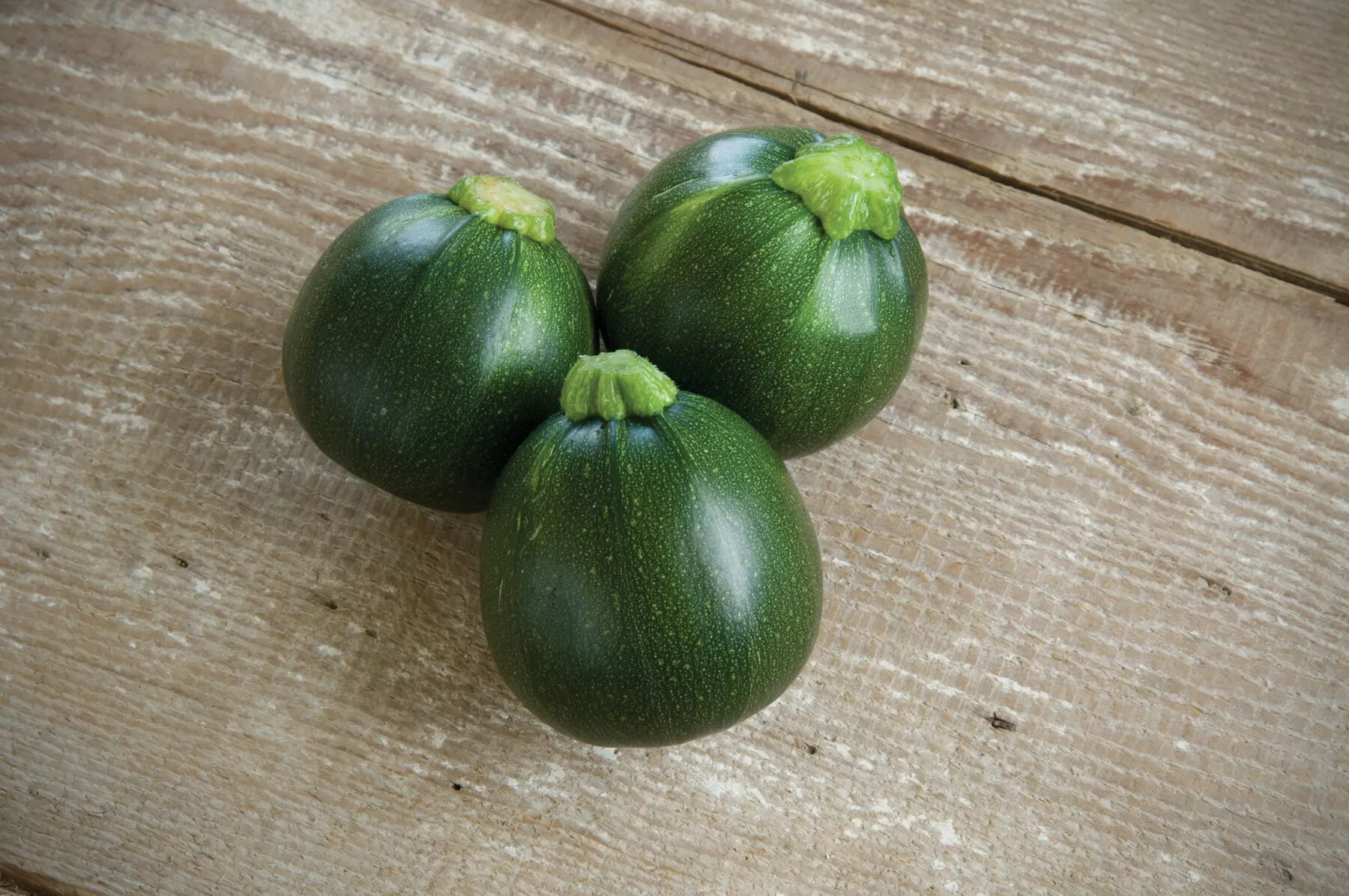eight-ball-f1-squash-seed Eight Ball (F1) Squash Seed