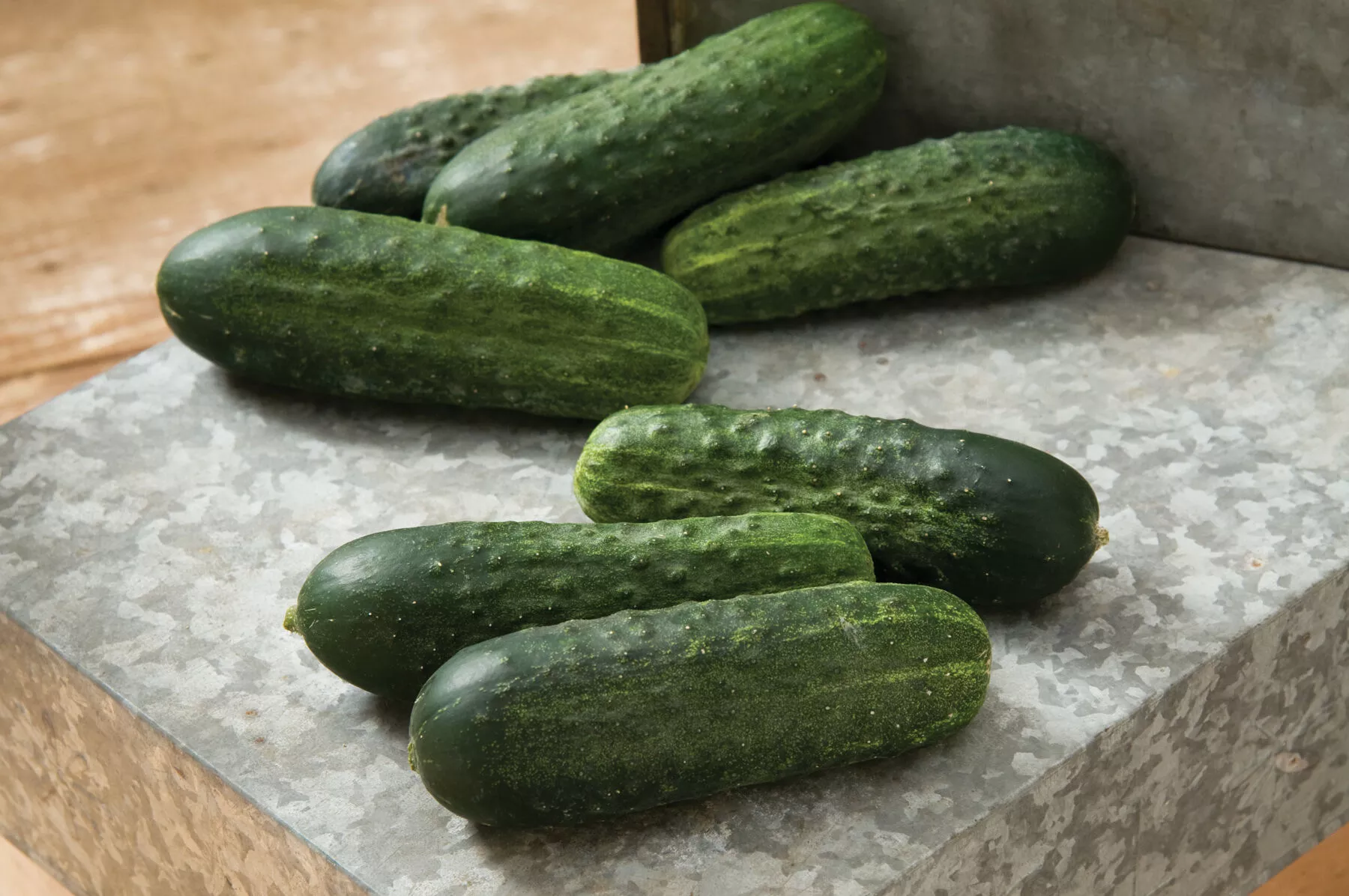 Excelsior Organic (F1) Cucumber Seed