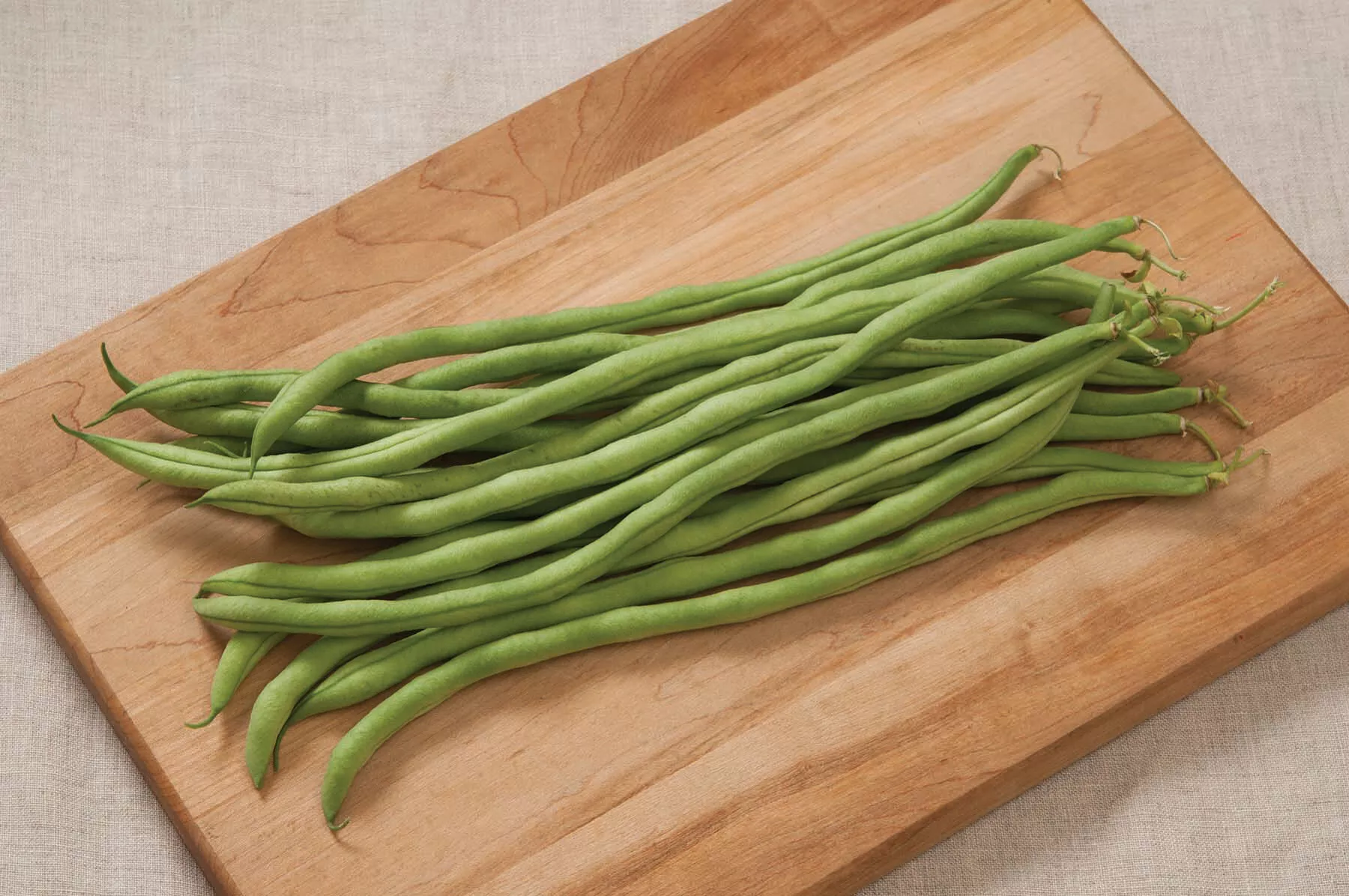 Fortex Bean Seed