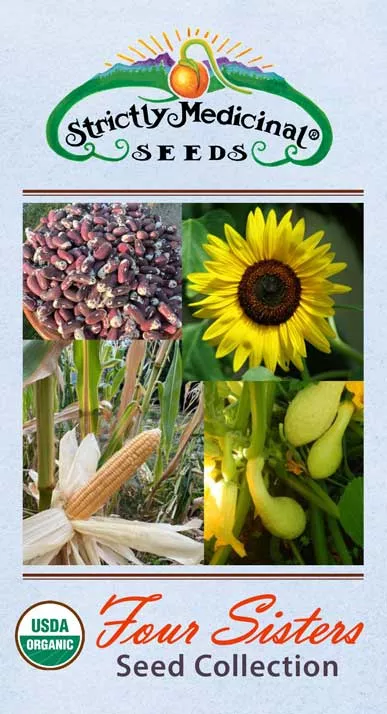 Four Sisters Seed Collection: Bean, Jacob’s Cattle; Corn, Golden Bantam Improved; Squash, Yellow Crookneck; Sunflower, Hopi Black Dye, Organic