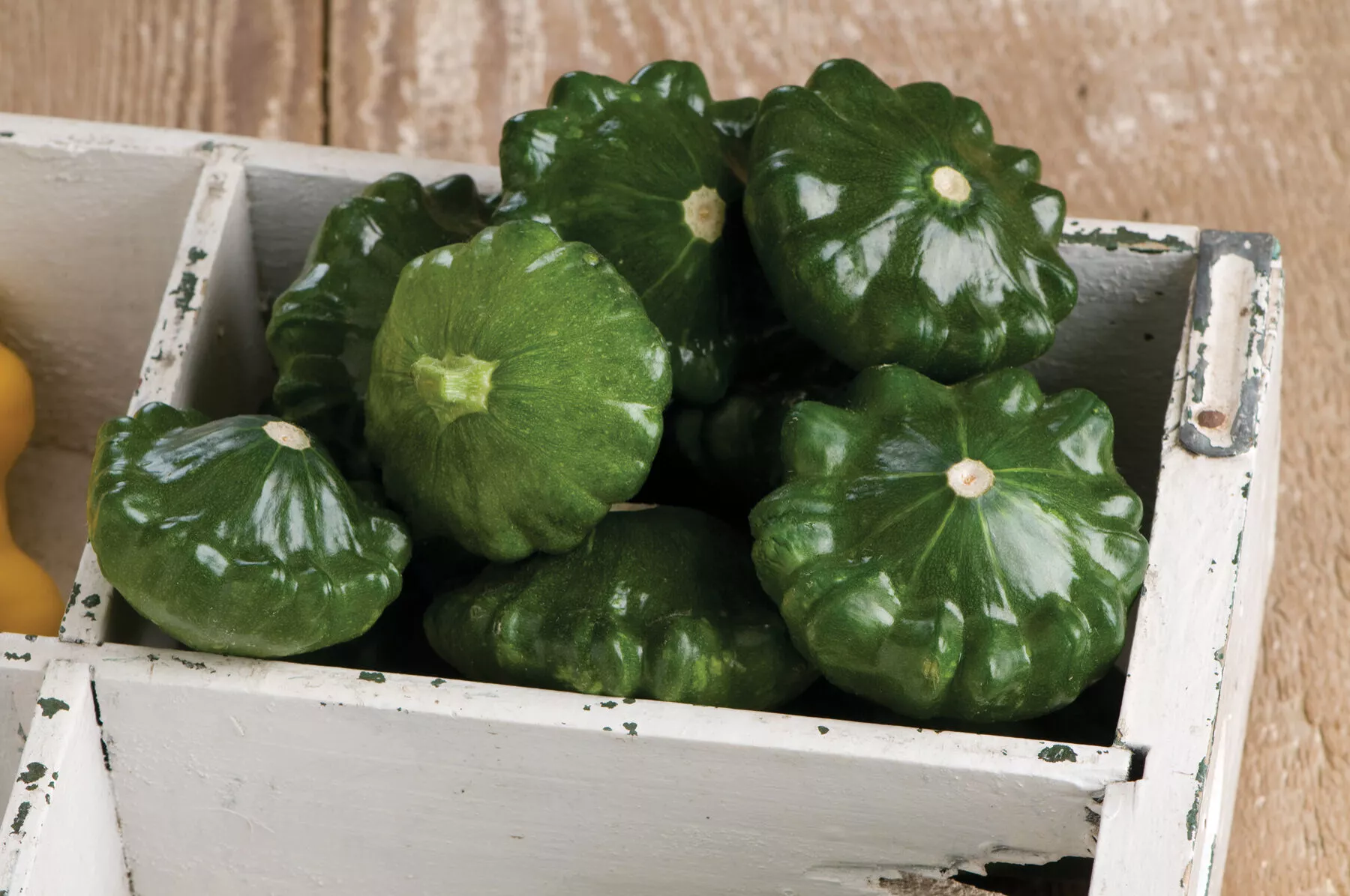 g-star-organic-f1-patty-pan-squash-seed G-Star Organic (F1) Patty Pan Squash Seed