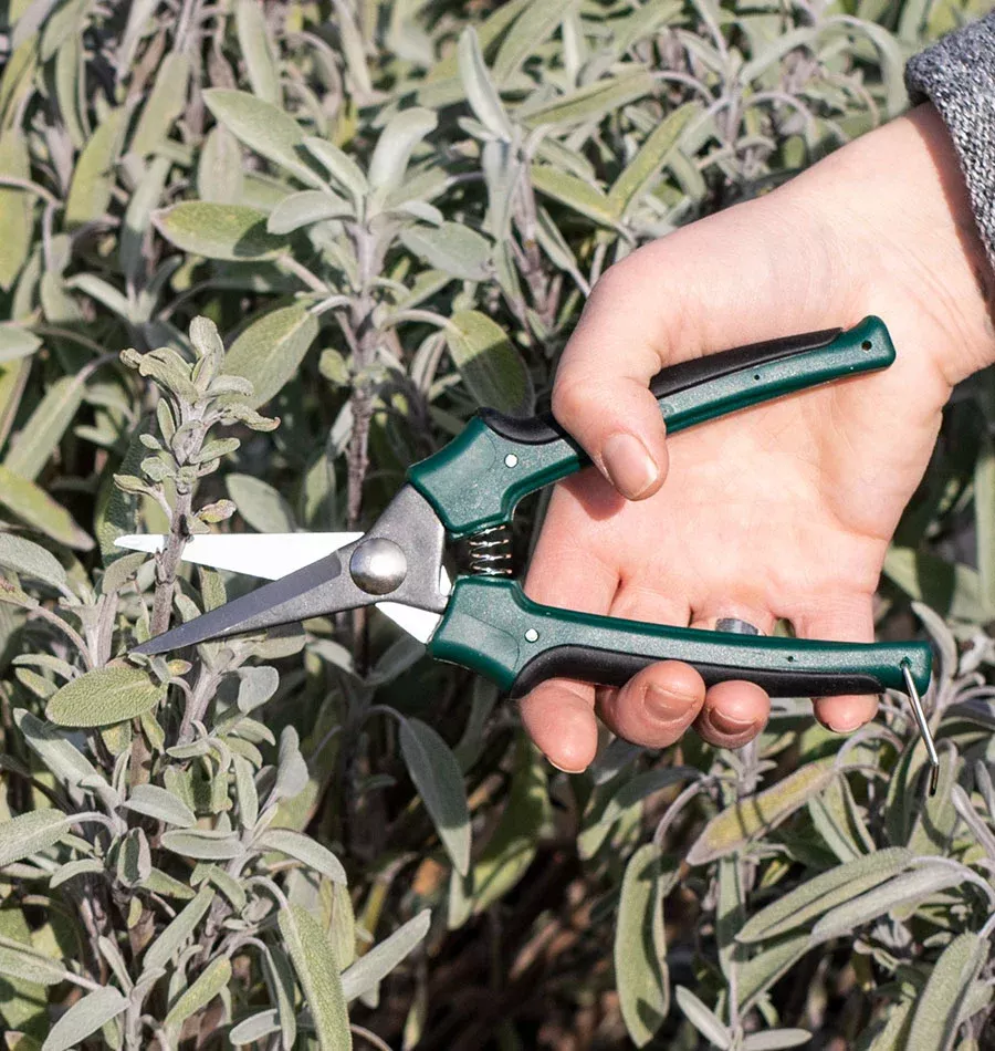Garden Shear