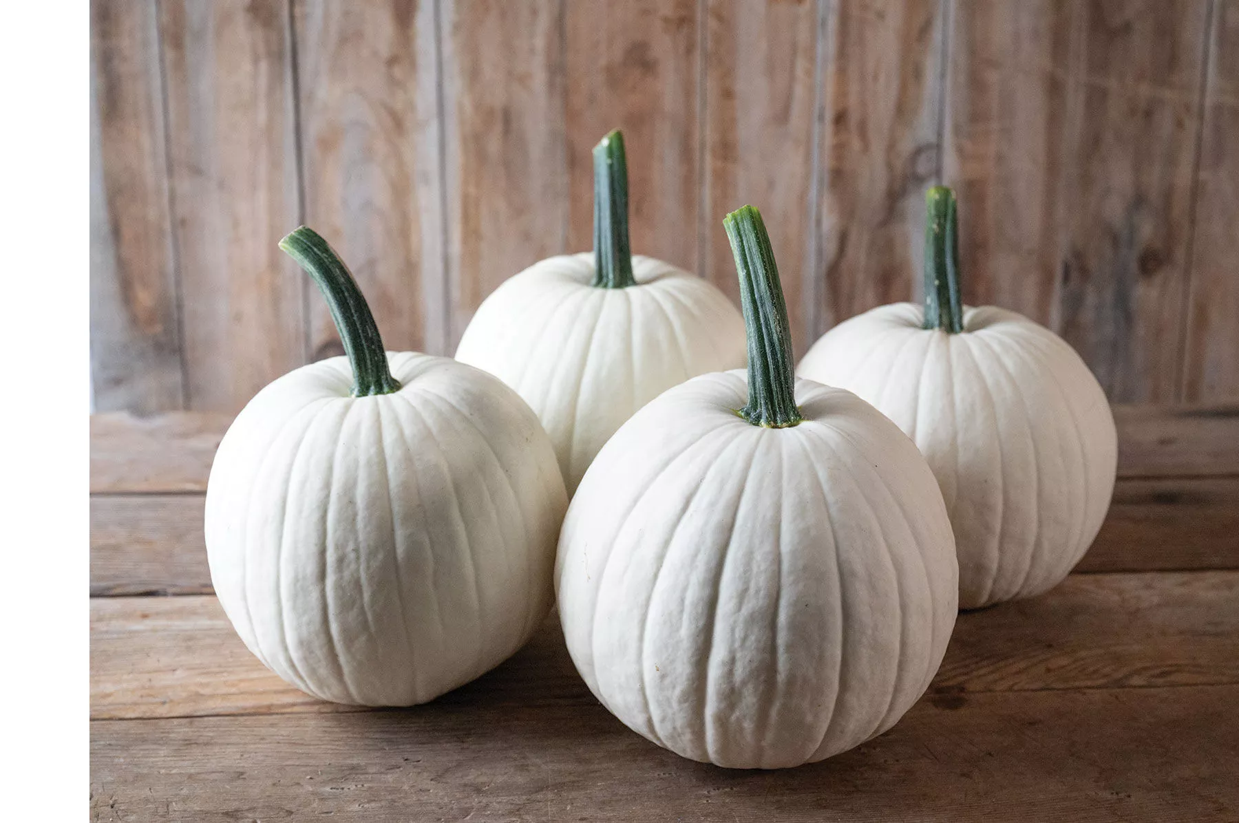 Ghost Town (F1) Pumpkin Seed