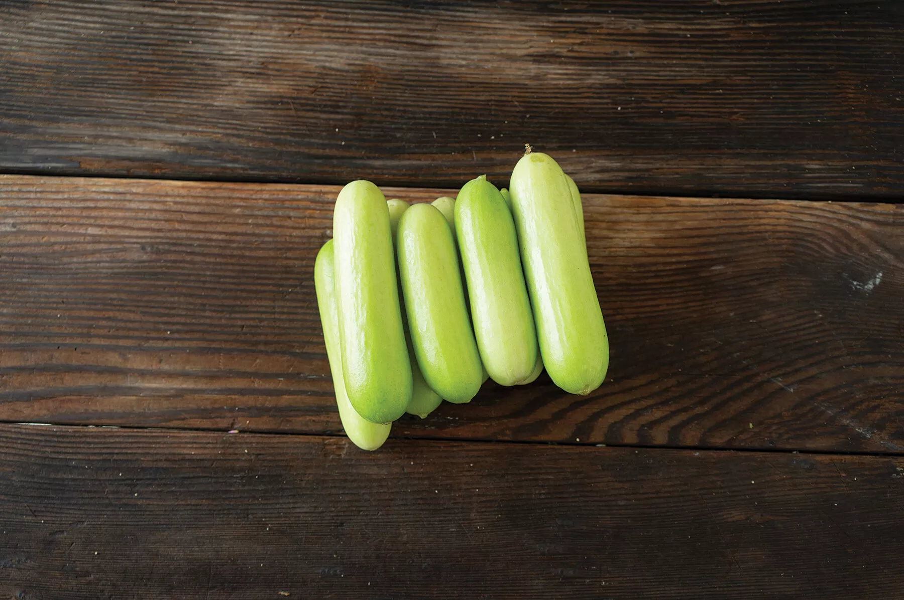 Gimlet (F1) Cucumber Seed