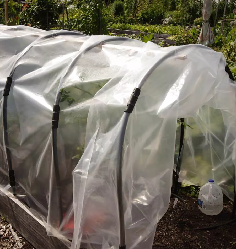 Greenhouse Film