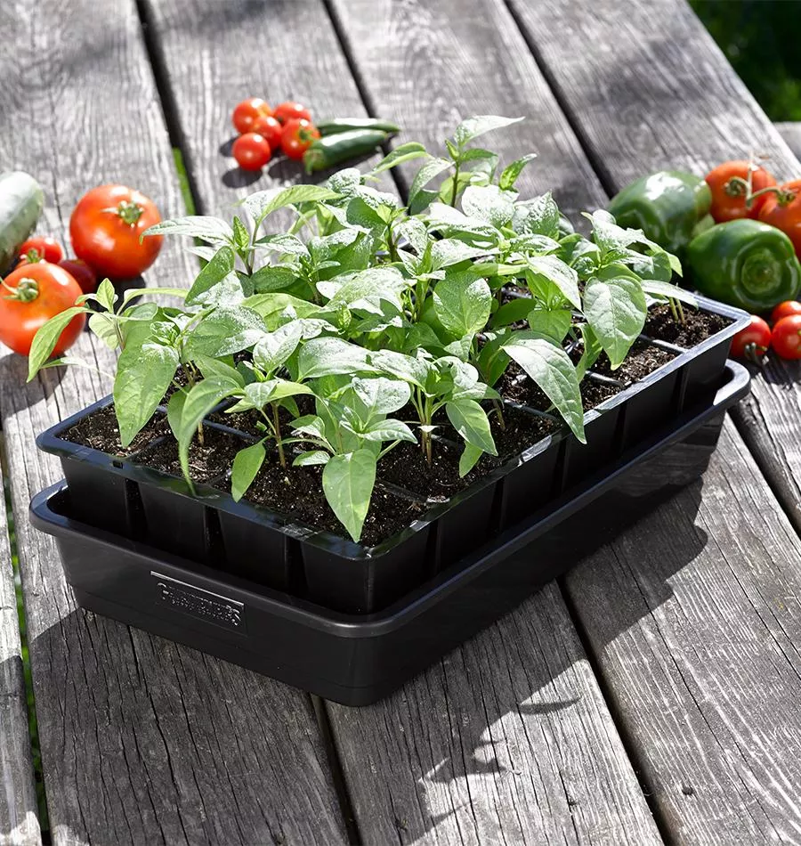 Grow Ease Starter Kit 24 Cell
