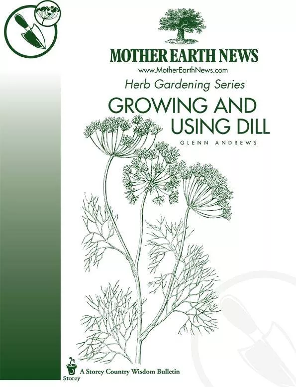 growing-using-dill-e-handbook Growing And Using Dill, E-Handbook