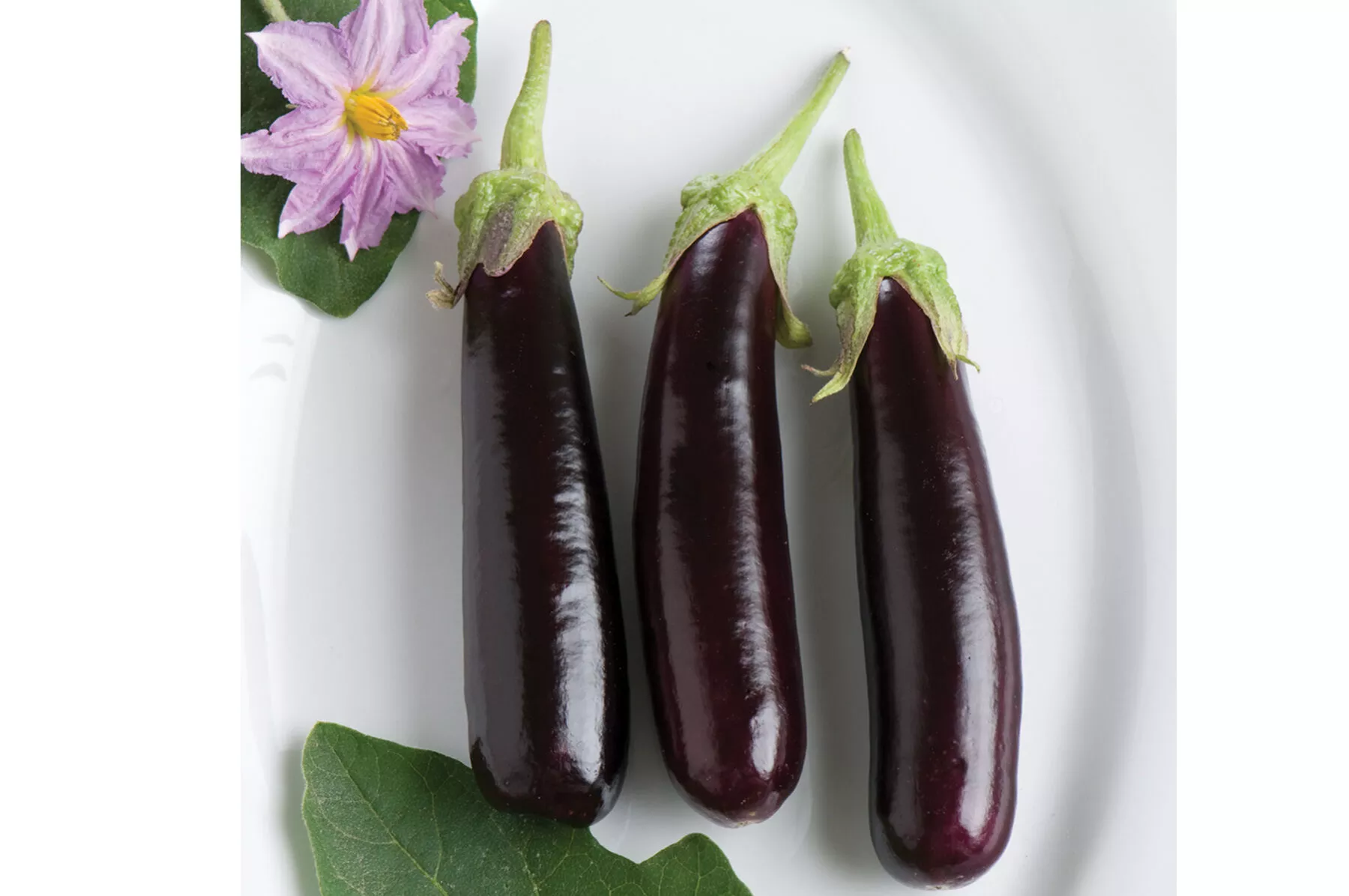 Hansel (F1) Eggplant Seed