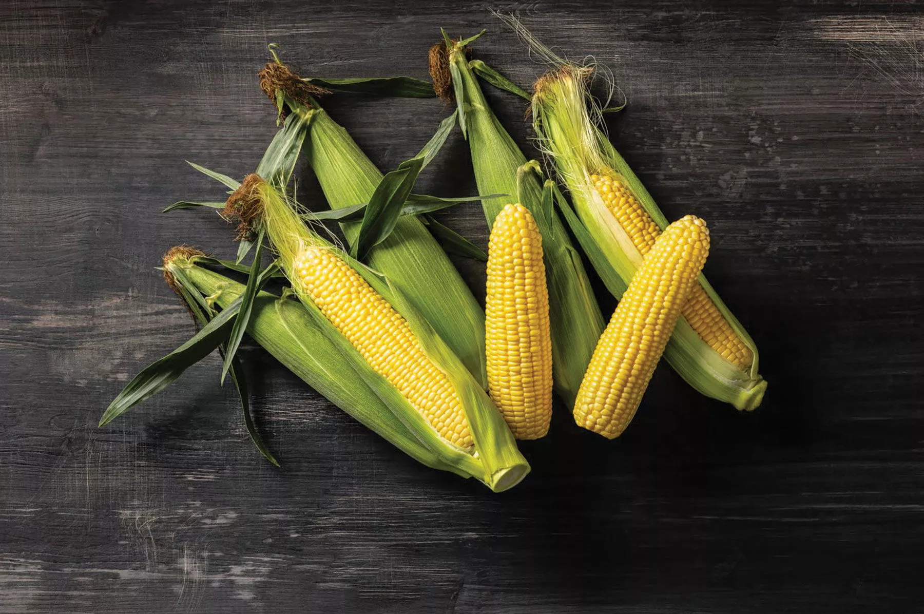 Icon XR (F1) Corn Seed